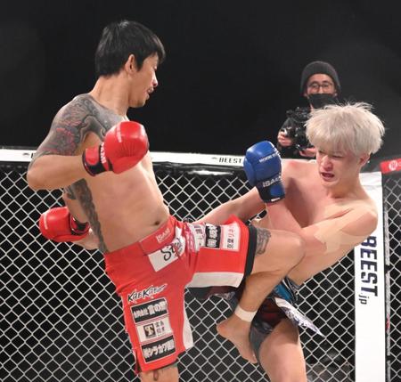 　激しく打ち合う啓之輔（左）、ジョリー（撮影・堀内翔）