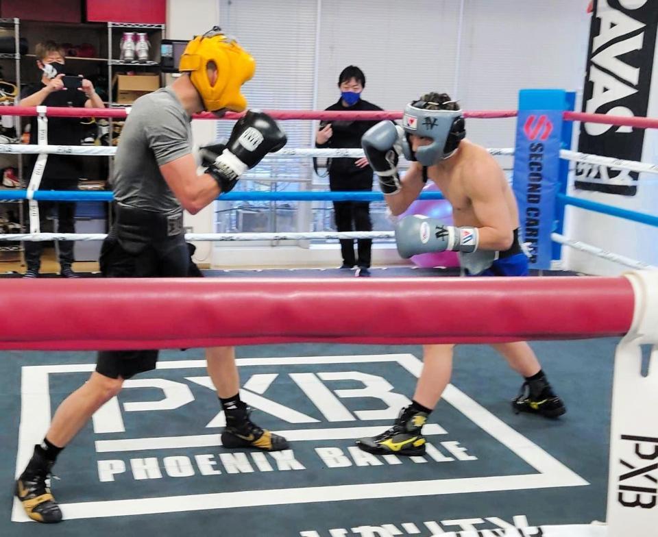 　メキシコ人ボクサーとスパーリングを行う井上尚弥（大橋ジム提供）