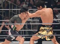 Amazon.co.jp: RIZIN選手 マサカリ金太郎 タオル ステッカー