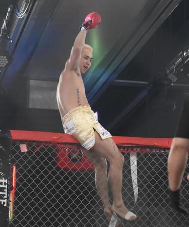 勝利してガッツポーズをするこめお（撮影・堀内翔）