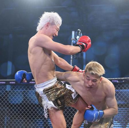 　冨澤大智が虎之介（右）からダウンを奪う（撮影・堀内翔）