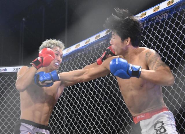 格闘技２試合目の朝倉未来門下生・小柴亮太が“醤油ニキ”撃破の韓国元軍人に勝利「チャンスくれた未来さんありがとうございます」