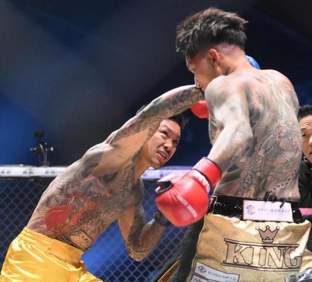 　尾田優也がシェンロン（右）にパンチをくり出す（撮影・堀内翔）