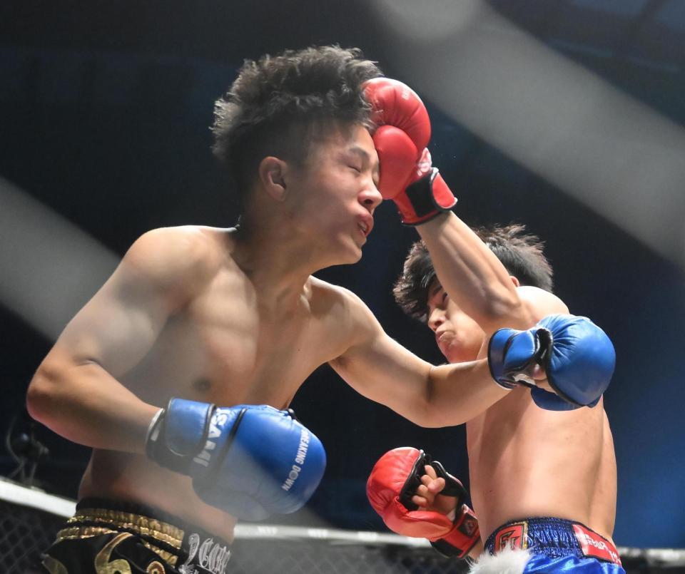 　レオ（左）が西島恭平からパンチをもらう（撮影・堀内翔）