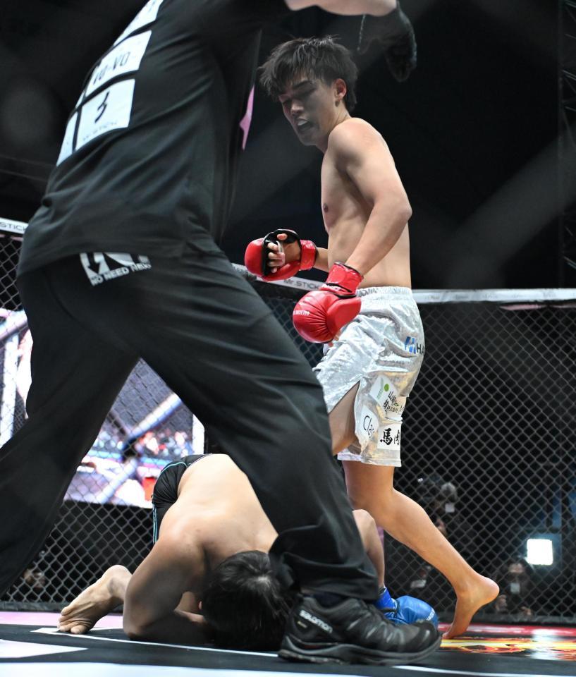 　細川一颯が才賀紀左衛門（下）に勝利する＝１１月２３日