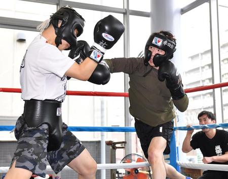 　世界戦前最後のスパーで軽快な動きを見せた寺地拳四朗（右）＝撮影・出月俊成