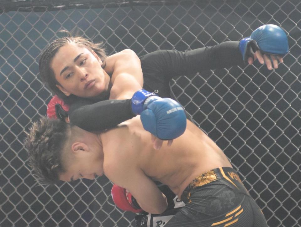 　組み合う咲人とレオ（下）＝１８日撮影