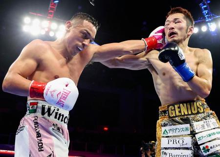 　ＩＢＦフェザー級タイトルマッチで打ち合う阿部麗也（右）とルイスアルベルト・ロペス（Ｍｉｌｋｅｙ　Ｗｉｌｌｉａｍｓ／Ｔｏｐ　Ｒａｎｋ提供、共同）