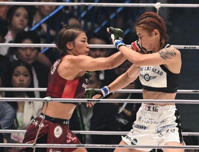 プロ格ヒーローズ RENA ケイトロータス 朝倉海セット プロ格ヒーローズ