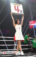 　ラウンドガールを務める須藤セリナ（撮影・堀内翔）