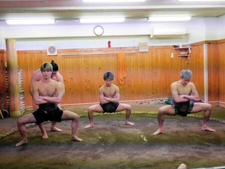 　まわしを締めてまた割りに取り組む（左から）白鳥大珠、那須川龍心、ＧＵＭＰ