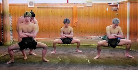　まわしを締めてまた割りに取り組む（左から）白鳥大珠、那須川龍心、ＧＵＭＰ