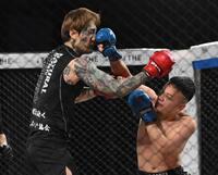 　パンチを出し合う瓜田純士（左）、せーや（撮影・堀内翔）