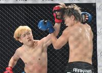 　細川一颯（右）にパンチを出す井原良太郎（撮影・堀内翔）