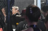 　担架で運ばれるジョリー（撮影・堀内翔）