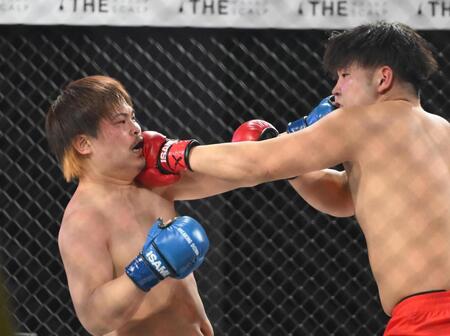 　赤パンニキ（右）にパンチを出すてる＝２日