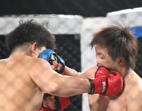 　赤パンニキ（左）のパンチを受けるてる＝２日