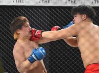 　赤パンニキ（右）にパンチを出すてる＝２日