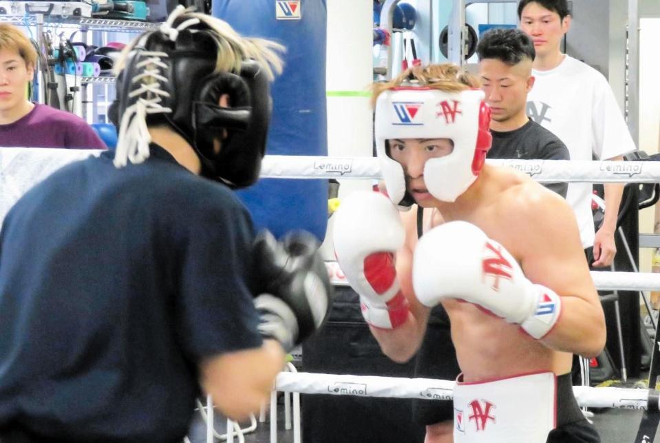 　日本スーパーフェザー級２位の砂川隆祐（手前）とスパーリングを行った井上尚弥＝大橋ジム提供