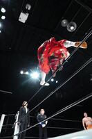 　ハヤブサの華麗なリングイン