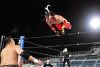 　場外に攻めるハヤブサ