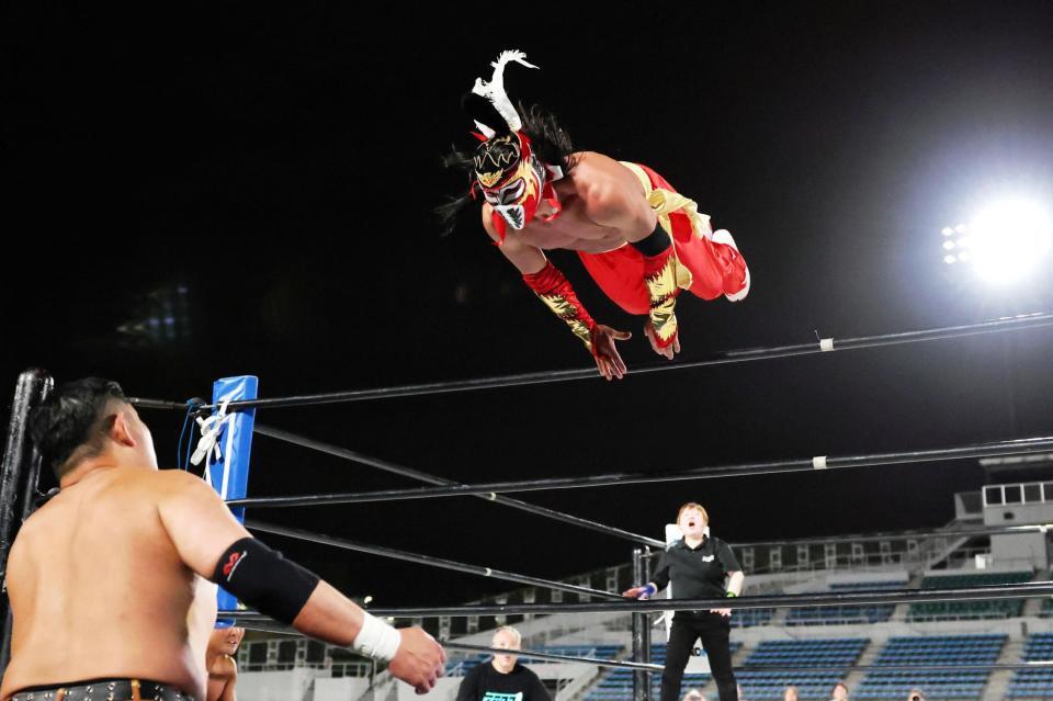 　場外に攻めるハヤブサ