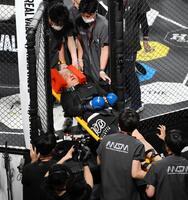 　担架で運ばれる、こつかしょうご白髮鬼（撮影・堀内翔）