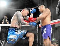 　モギ（左）にパンチを出す藤井啓輔（撮影・堀内翔）