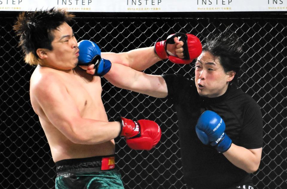 　てる（左）にパンチを出す、おせーよ山田（撮影・堀内翔）