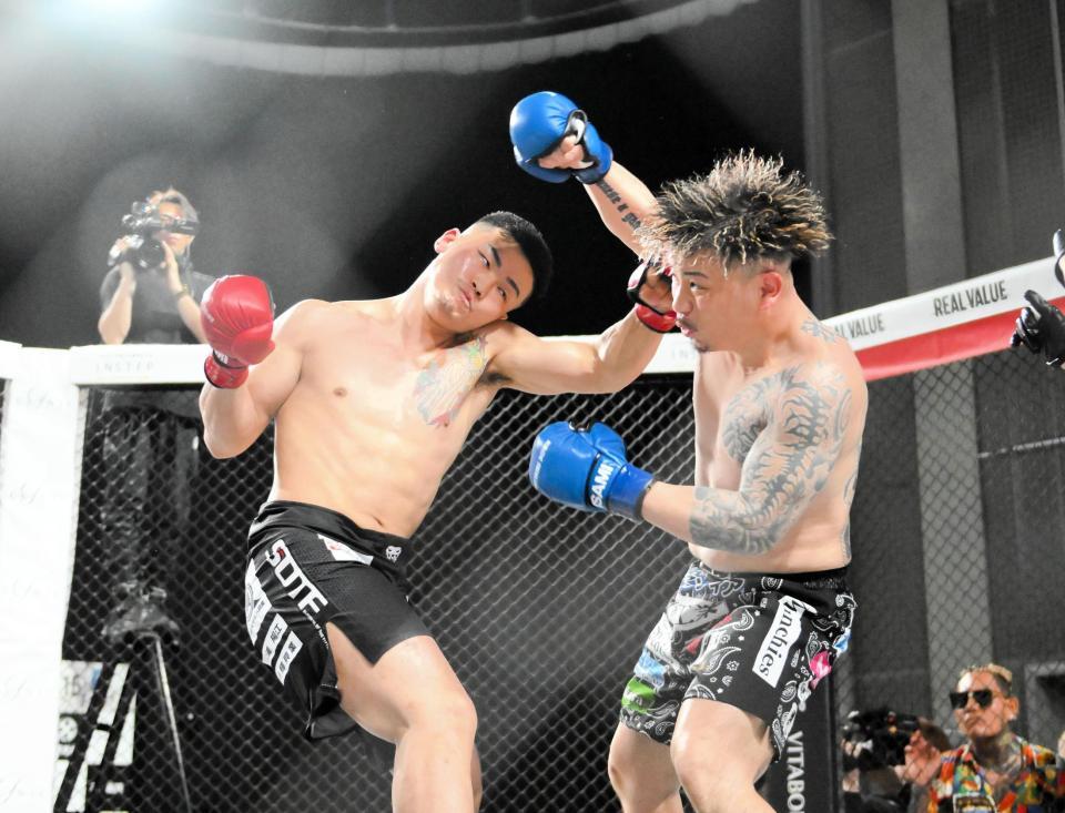 　竜（左）が２８３ａｋａ我武者羅にパンチを出す（撮影・堀内翔）