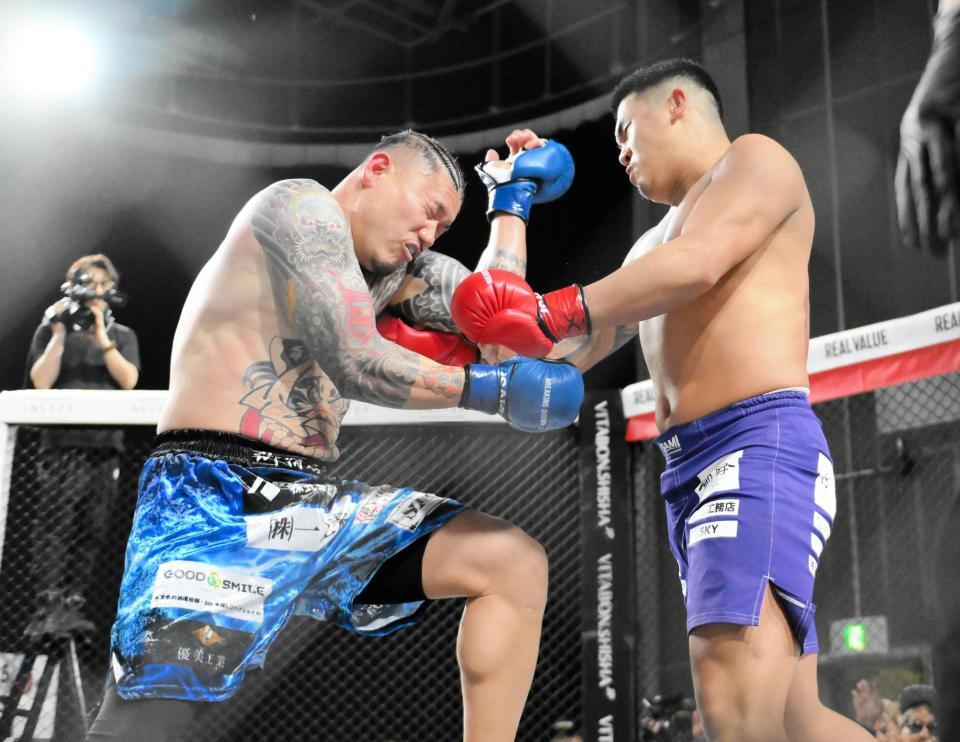 　モギ（左）にパンチを出す藤井啓輔（撮影・堀内翔）