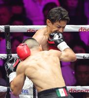 　１回、エドアルド・ヌニェスの右フックに顔をゆがめる力石政法（撮影・西岡正）