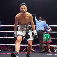 　１回、ＴＫＯで勝利した武居由樹（撮影・吉澤敬太）