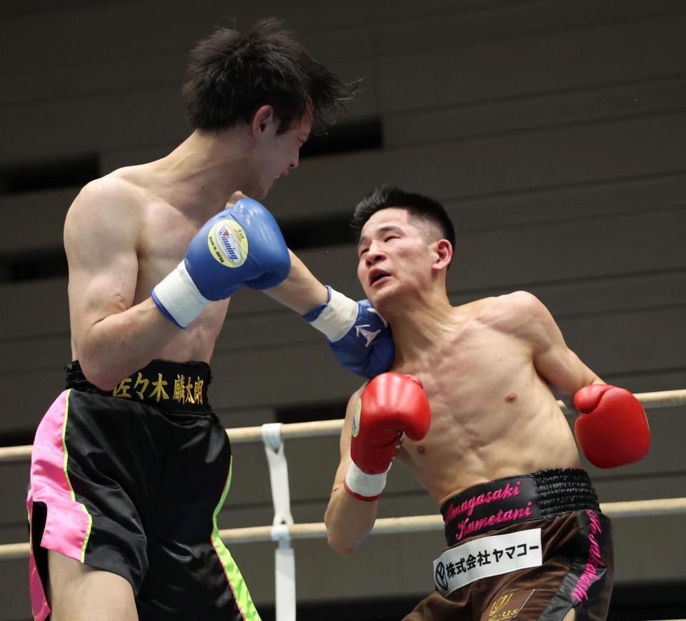 　３Ｒ、高橋碧（右）に打ち込む佐々木麟太朗（撮影・中田匡峻）