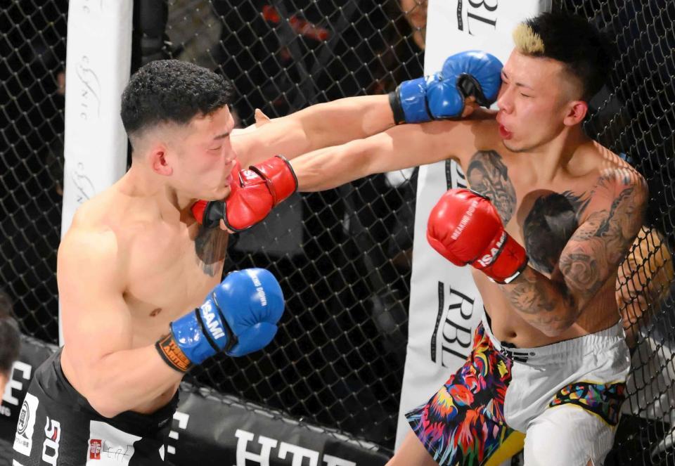 　パンチを打ち合う竜（左）とじゅん坊（右）