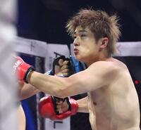 　ドラゴンにダウンを奪われる西島恭平（撮影・中田匡峻）