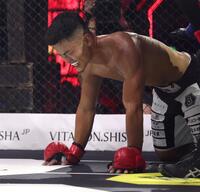 　もん絶する竜（撮影・中田匡峻）