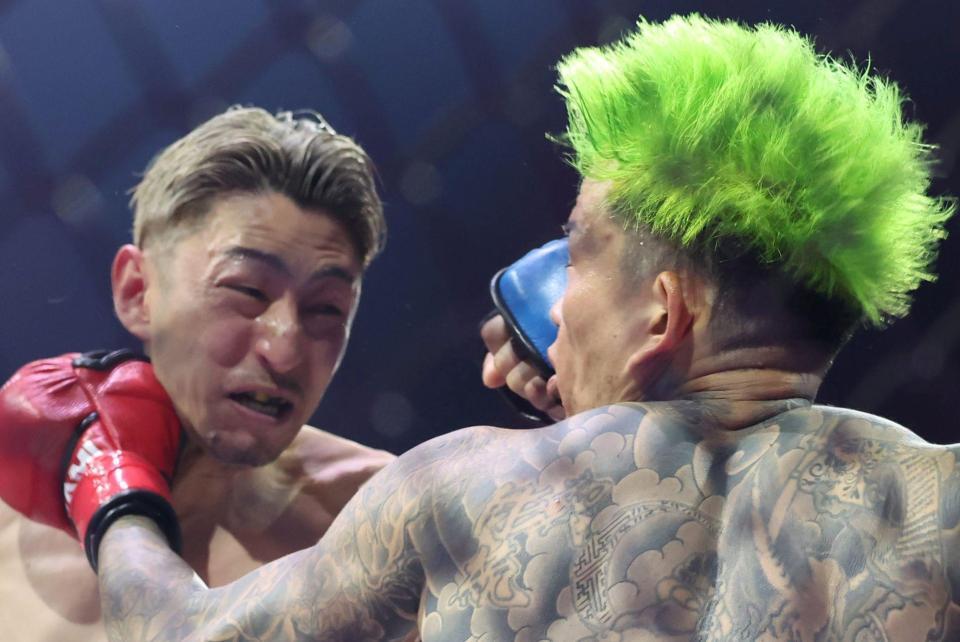 　ＫＩＮＧカズの左ストレートがシェンロンの顔面を直撃（撮影・中田匡峻）