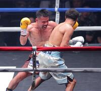 　４回、アントニオ・バルガス（手前）から左フックでダウンを奪う比嘉大吾（撮影・吉澤敬太）