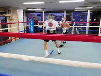 　１３年ぶりの出稽古で帝拳ジムを訪れ、増田陸（左）とスパーリングを行った井上尚弥＝大橋ジム提供