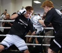 練習を公開した井上尚弥＝大橋ジム（撮影・金田祐二）