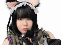 WWE マテル　エリート　鈴木秀樹　カスタムフィギュア WWE マテル エリート 鈴木秀樹 カスタムフィギュア