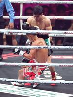 　１回、ダウンする武居由樹（撮影・西岡正）