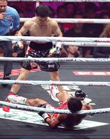 　１回、ダウンする武居由樹（撮影・西岡正）