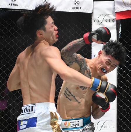 　池田晃樹（左）にパンチを出すリキ（撮影・堀内翔）