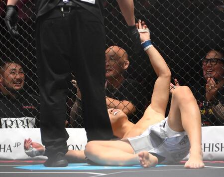 　メカ君に敗れた虎之介（撮影・堀内翔）