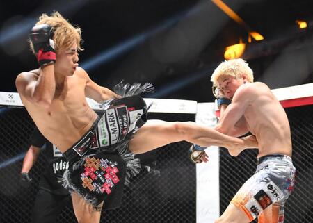 　竹見浩史郎（右）に蹴りを入れる野田蒼（撮影・堀内翔）