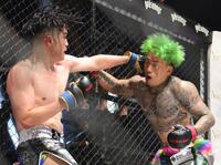 　ドラゴン（左）からのパンチを受けるシェンロン（撮影・堀内翔）