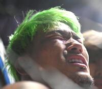 　ドラゴンに敗れたシェンロン（撮影・堀内翔）