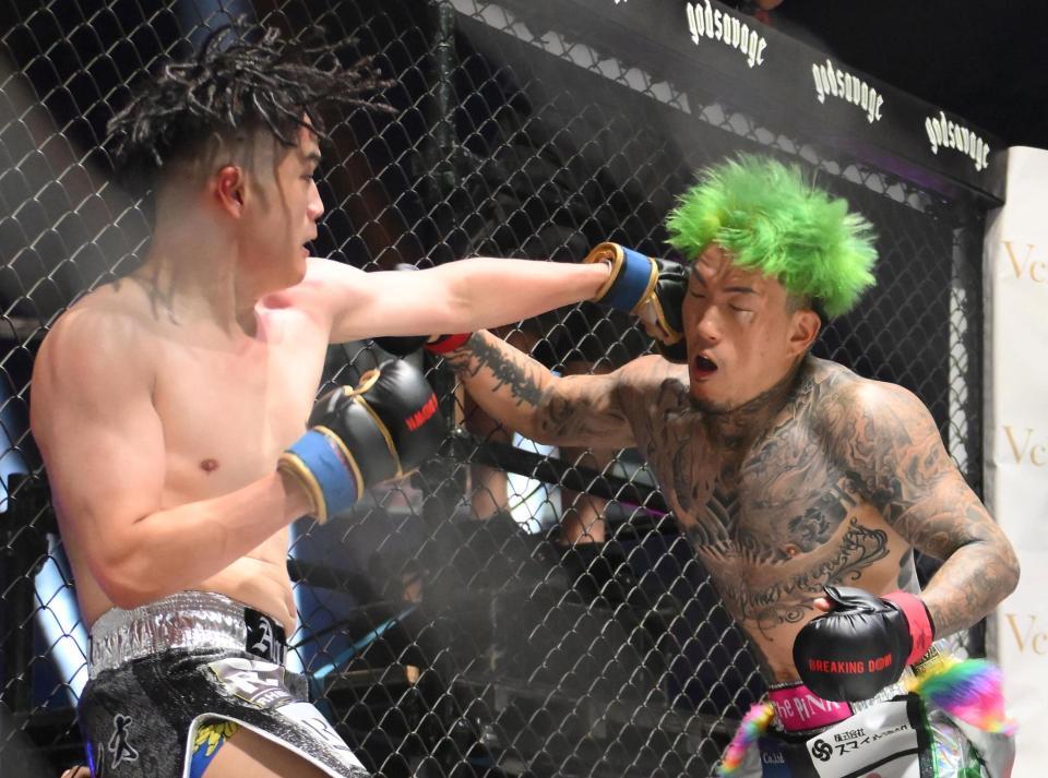 　ドラゴン（左）からのパンチを受けるシェンロン（撮影・堀内翔）